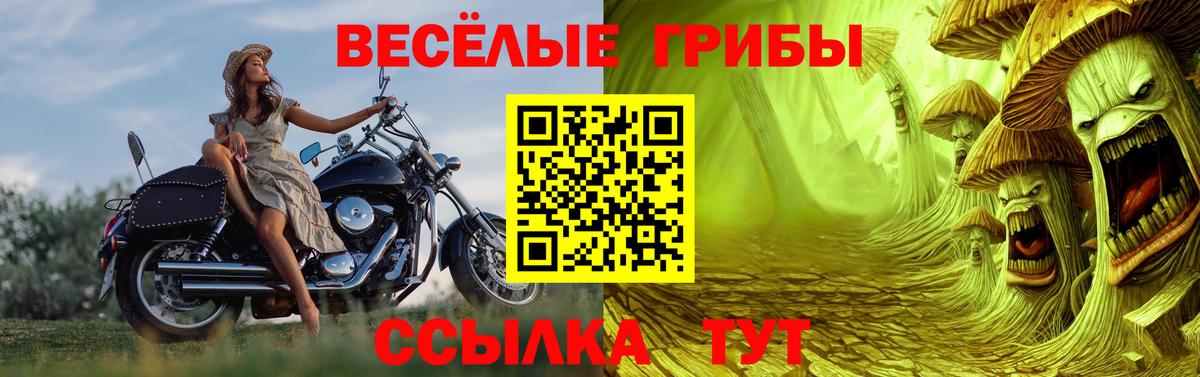 Псилоцибиновые грибы Psilocybe  Вход с VPN  Солнечногорск 